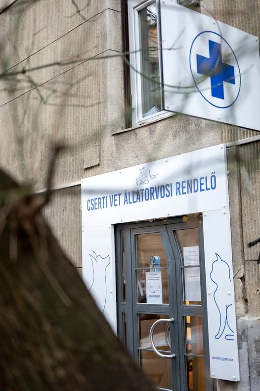 CsertiVet rendelő